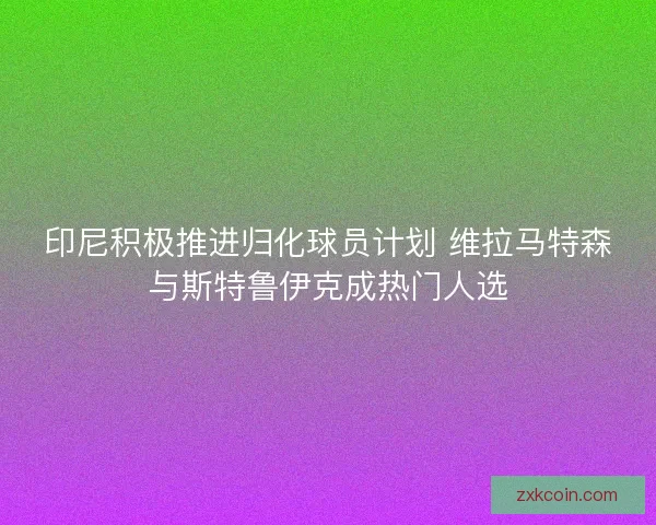 印尼积极推进归化球员计划 维拉马特森与斯特鲁伊克成热门人选